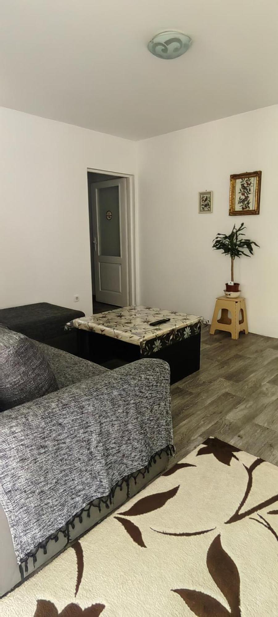 Divlji Raj Lägenhet Belgrad Exteriör bild